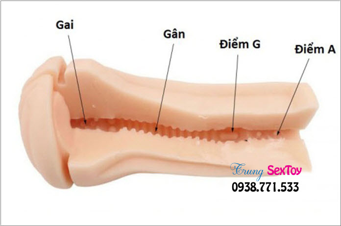 âm đạo giả gắn tường