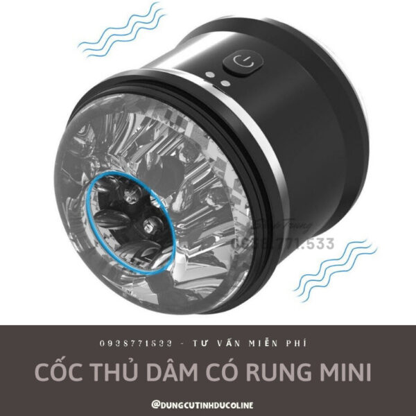 coc tu suong co rung mini