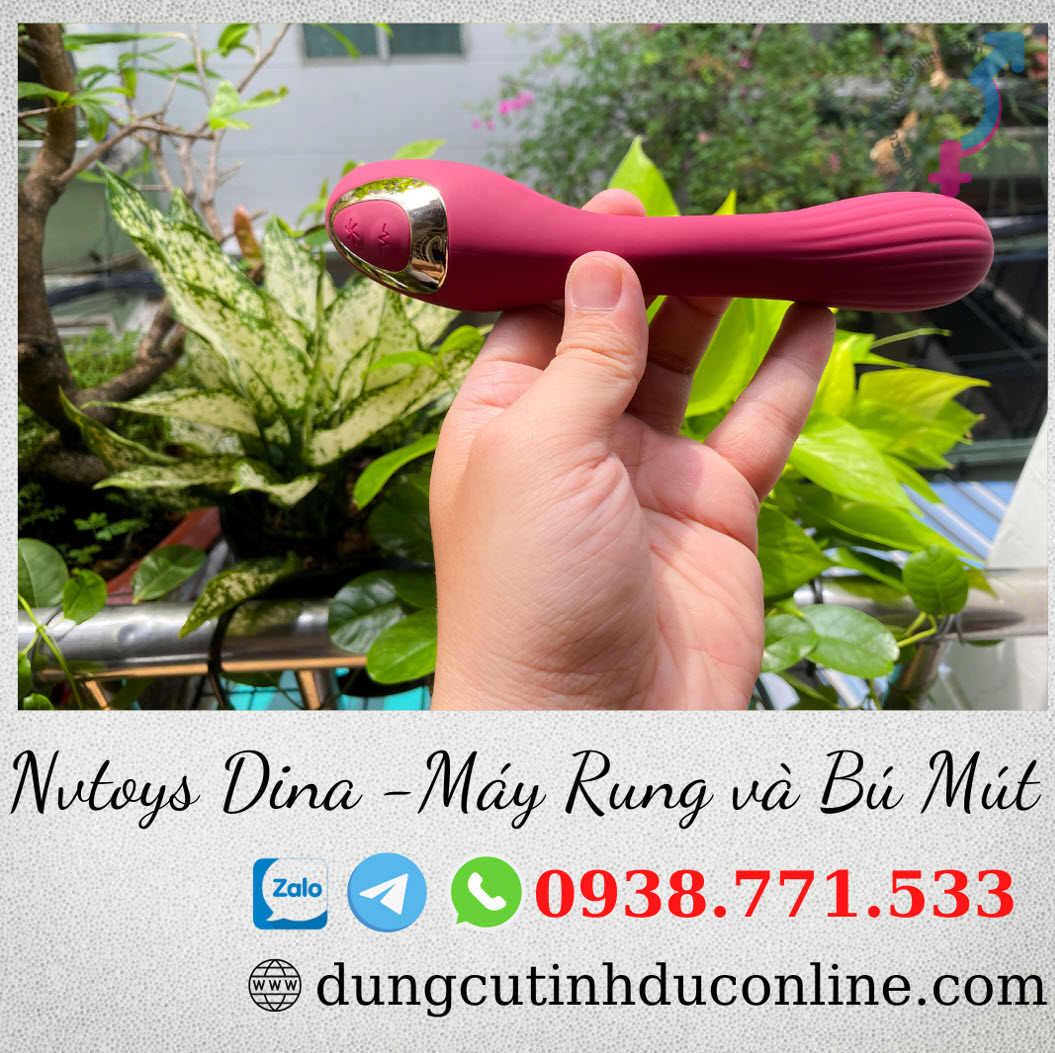 duong vat gia Nvtoys DINA