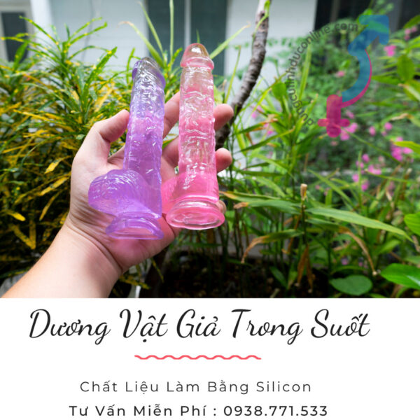 duong vat gia trong suot