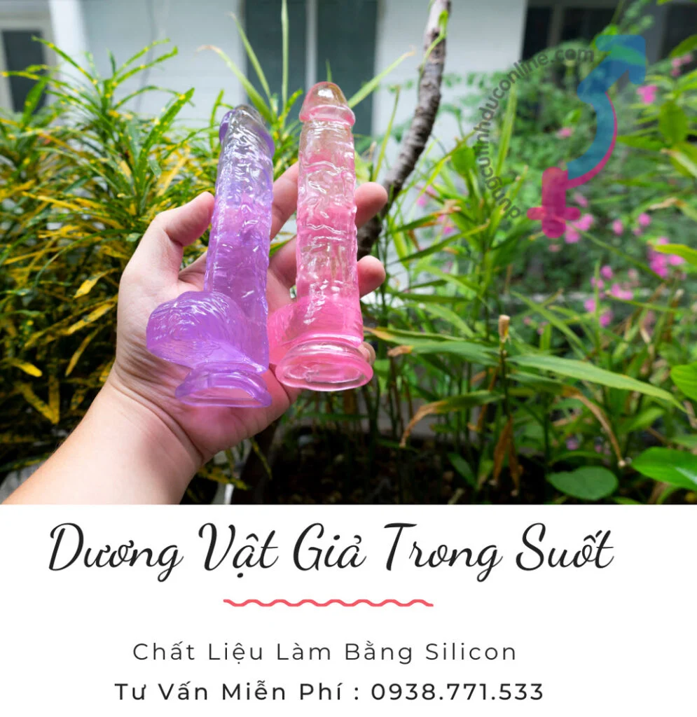 Dương vật giả trong suốt nhiều màu gắn tường tại DCTO