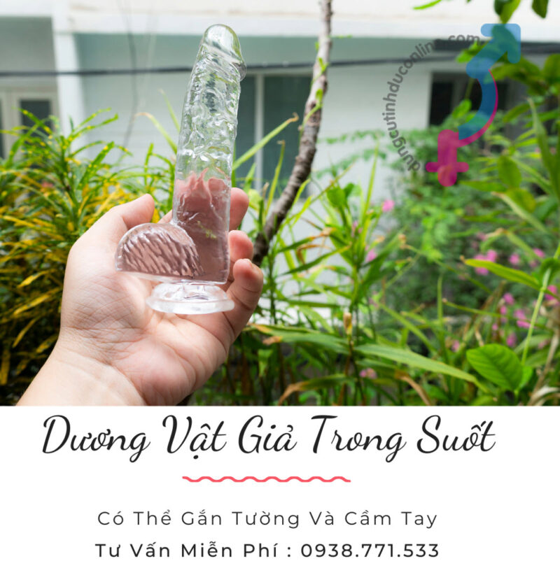 duong vat gia trong suot