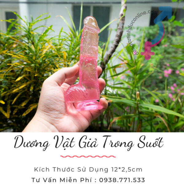 duong vat gia trong suot