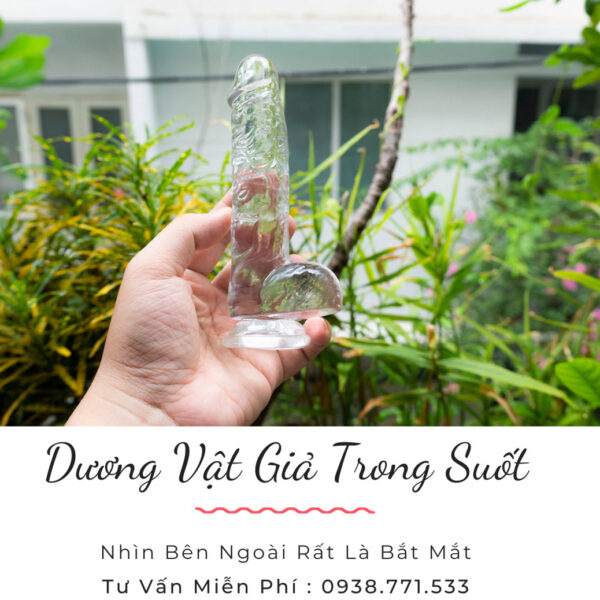 duong vat gia trong suot