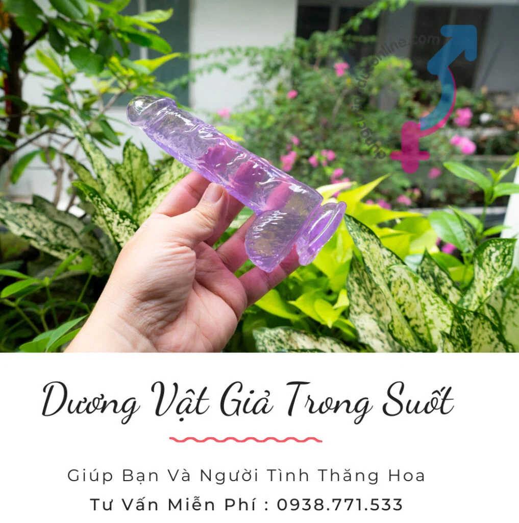 Đặt mua dương vật giả trong suốt nhiều màu tại DCTO