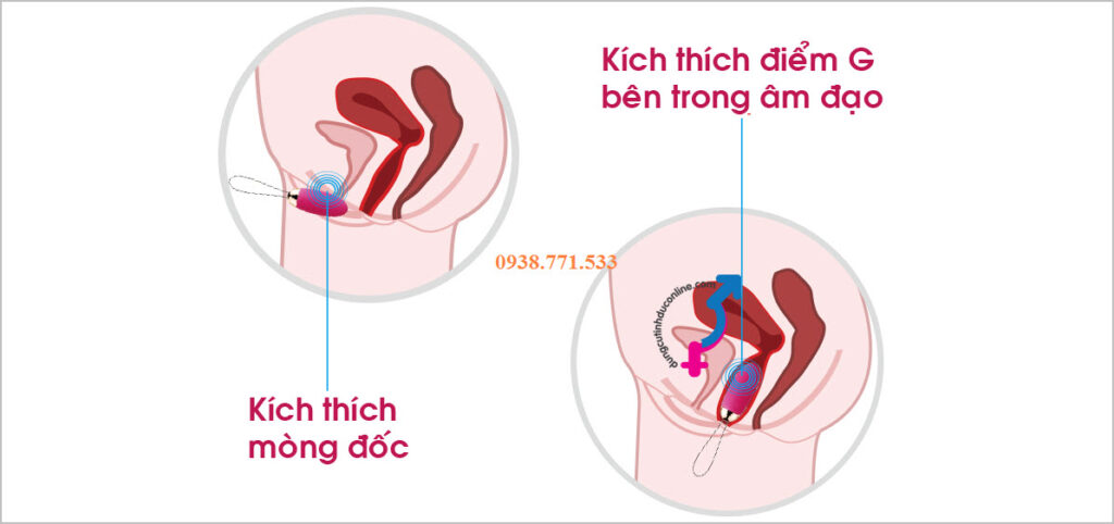 Trứng rung cao cấp Svakom Elva