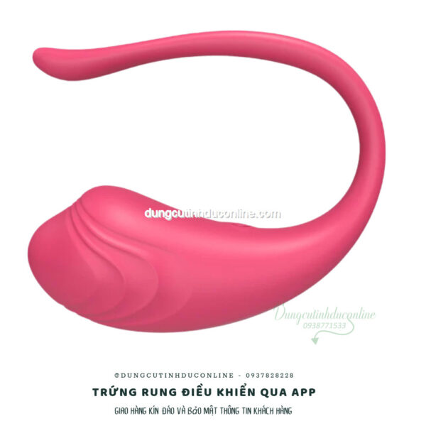 trung rung dieu khien qua app 0009 Shop Trung Rung