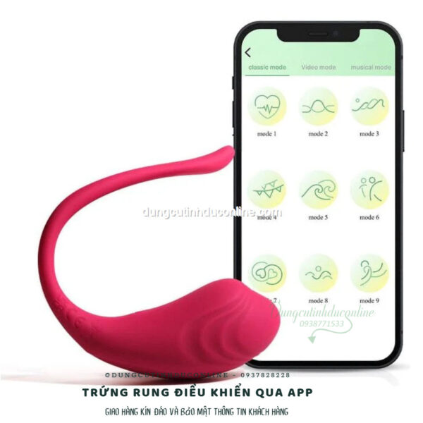 trung rung dieu khien qua app 0012 Shop Trung Rung