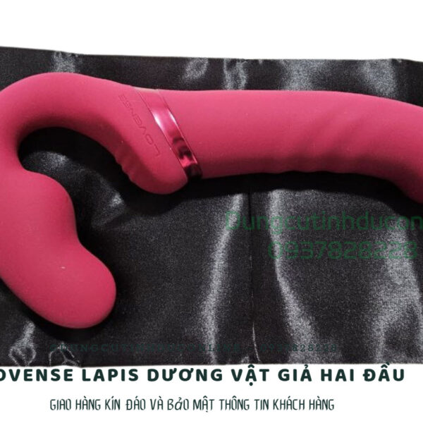 Lovense Lapis duong vat gia 0005 Shop duong vat gia