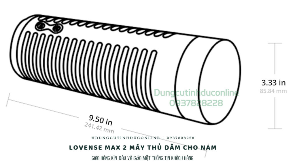 Lovense Max 2