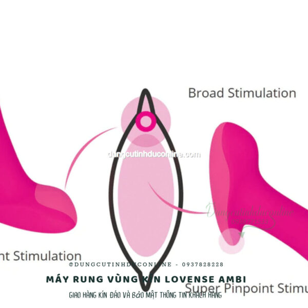 May rung Lovense Ambi 0008 Shop Sextoy