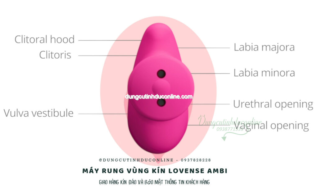 Máy Rung Vùng Kín Lovense Ambi 