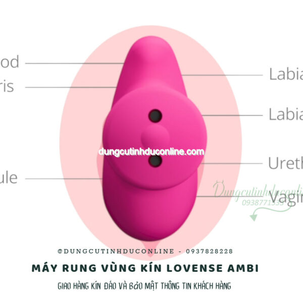 May rung Lovense Ambi 0011 Shop Sextoy