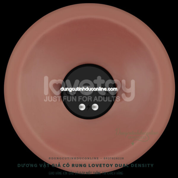 duong vat gia Lovetoy Dual Density 0004 SHop duong vat gia