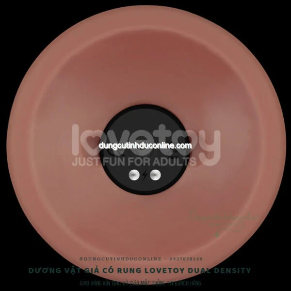 Dương Vật Giả Lovetoy Có Rung Như Thật duong vat gia Lovetoy Dual Density 0004 SHop duong vat gia
