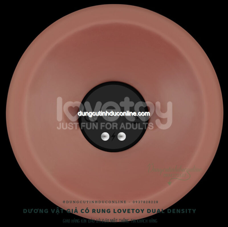 duong vat gia Lovetoy Dual Density 0004 SHop duong vat gia