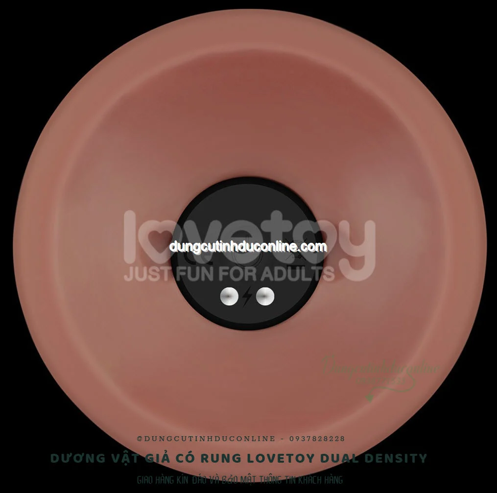 Lưu ý khi dùng dương vật giả Lovetoy Lưu ý an toàn khi dùng dương vật giả Lovetoy có rung
