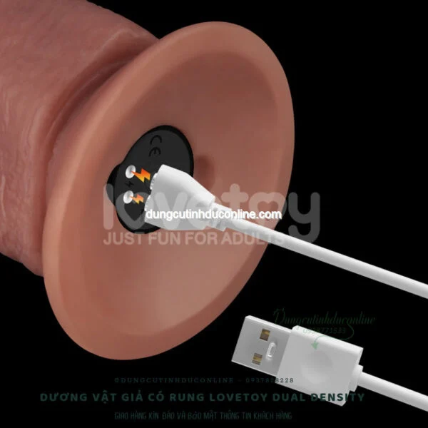 Dương Vật Giả Lovetoy Có Rung Như Thật duong vat gia Lovetoy Dual Density 0007 SHop duong vat gia