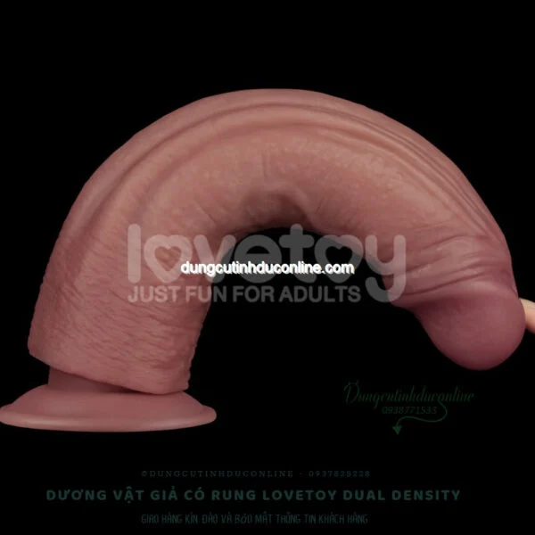 Dương Vật Giả Lovetoy Có Rung Như Thật duong vat gia Lovetoy Dual Density 0008 SHop duong vat gia