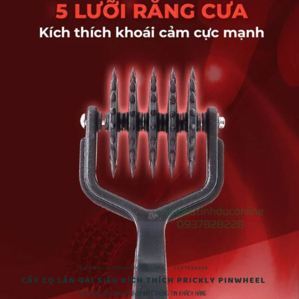 co lan Prickly Pinwheel 0000 Shop do choi BDSM