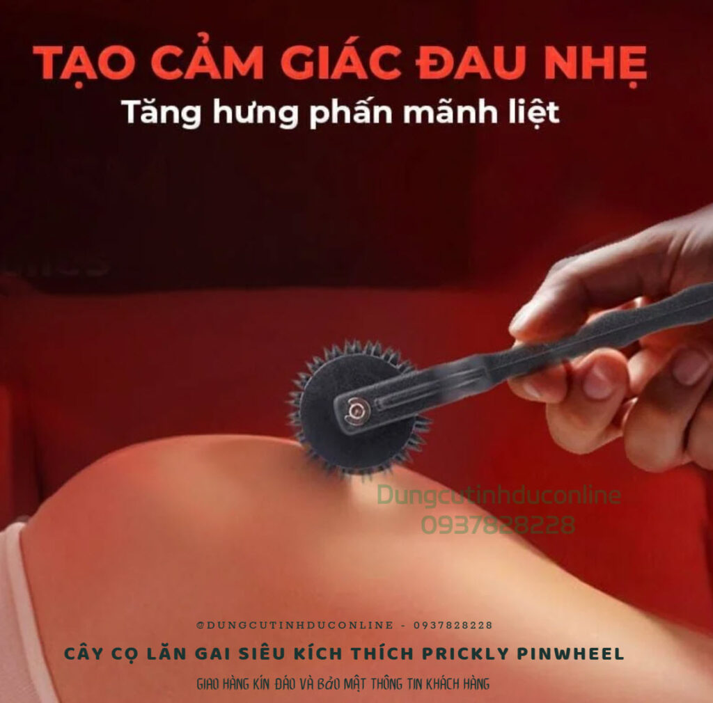 Cọ Lăn Prickly Pinwheel