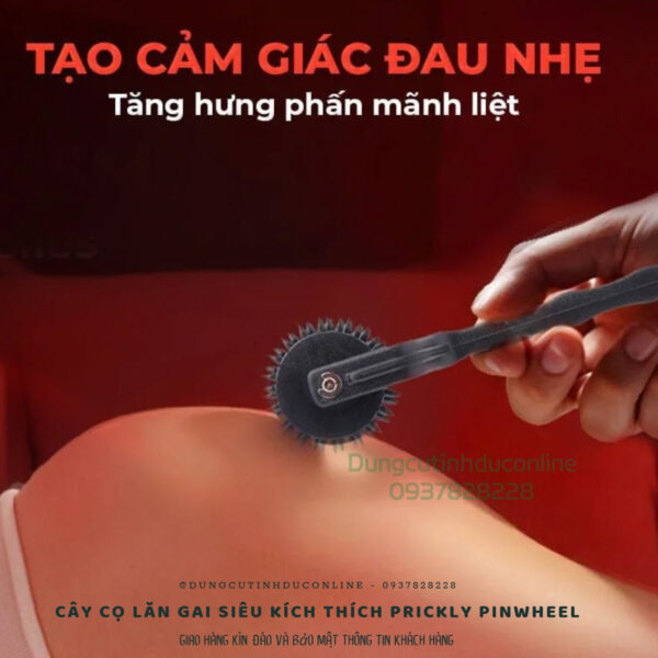 co lan Prickly Pinwheel 0001 Shop do choi BDSM