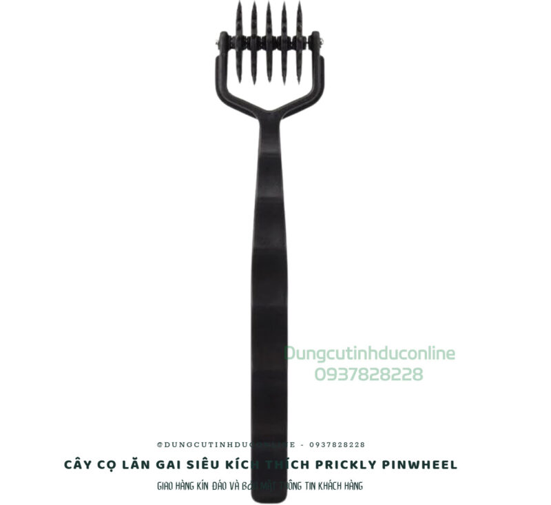co lan Prickly Pinwheel 0008 Shop do choi BDSM