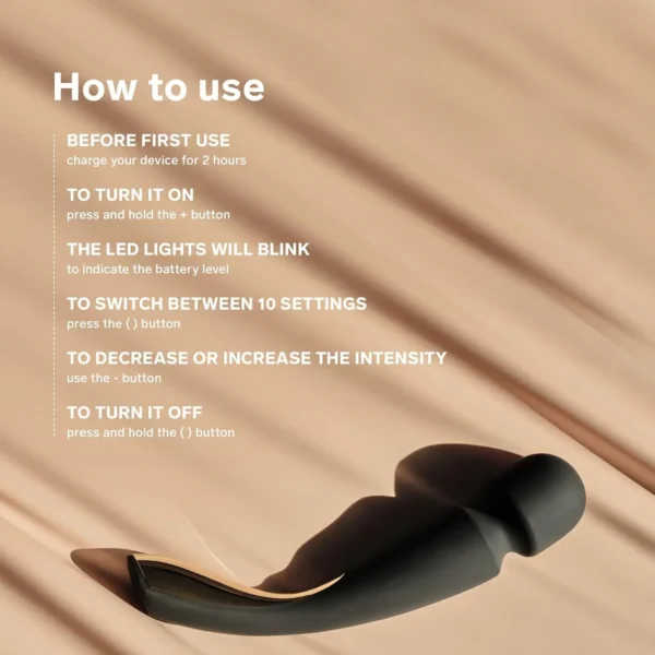 may rung Lelo Smart Wand Large 0009 dungcutinhduconline