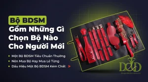 Bộ BDSM Gồm Những Gì? Chọn Bộ Nào Cho Người Mới