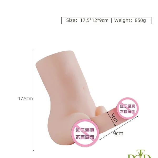 Búp Bê Bán Thân Nam Khung Xương chính hãng DCTO