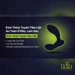 Vị trí tuyến tiền liệt nằm dưới bàng quang, cách hậu môn 5-7cm