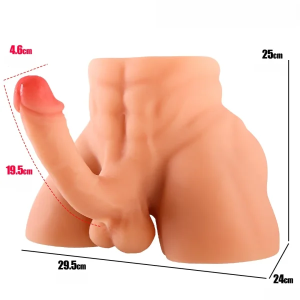 thông số kích thước búp bê nửa thân nam TPE 19.5cm
